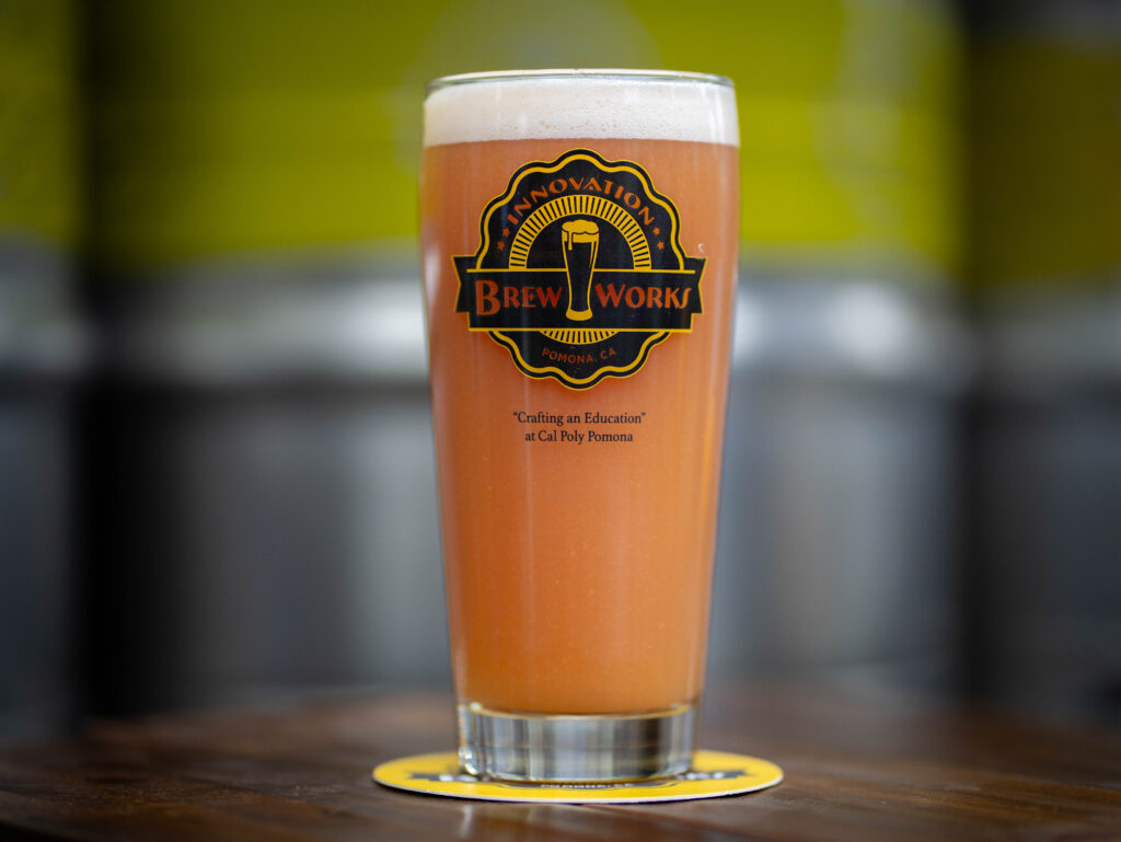 beer in a glass