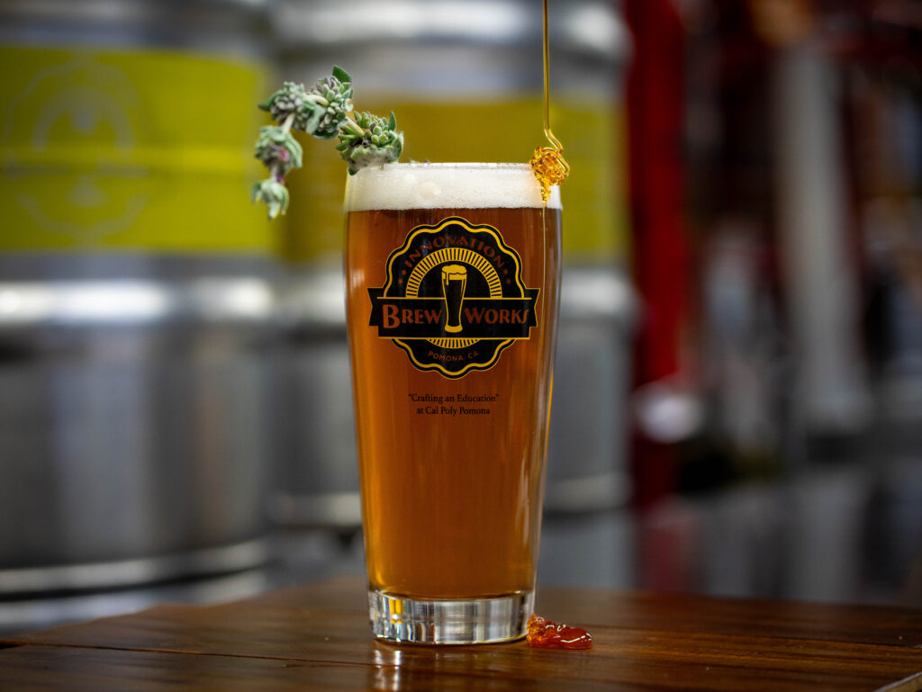 Innovation Brew Works Beer